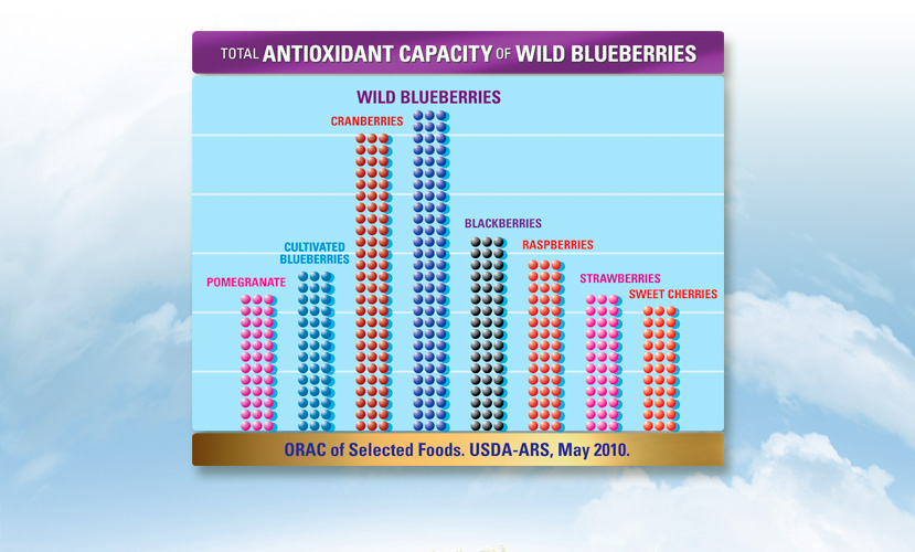 Wild Blueberry Association | Food and Wellness Group